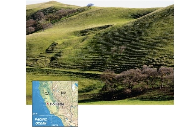  -Cattle terraces, shown in the photo, occur only in what type of topography? A) flat ground B) very gently sloping hills C) medium sloping hills D) very steep hills