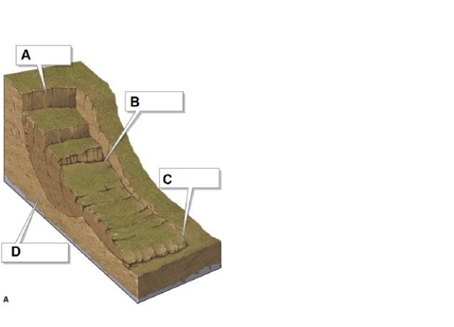   -In the figure, box B shows what? A) failure surface B) head scarp C) toe D) slump material