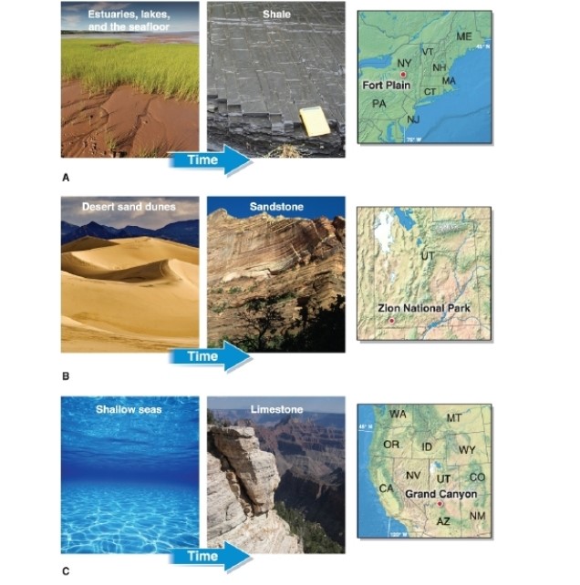   -Referring to the figure, limestone is most likely to form in which geographic environments? A) desert sand dunes B) estuaries, lakes, and the seafloor C) shallow seas D) volcanic areas