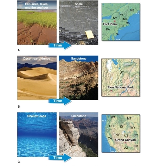   -Referring to the figure, sandstone is most likely to form in which geographic environment(s) ? A) desert sand dunes B) estuaries, lakes, and the seafloor C) shallow seas D) volcanic areas