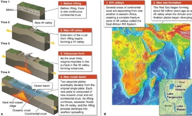 <strong> According to the figure, eastern Africa could likely one day become what?</strong> A)a new sea B)a mountain range C)a large plateau D)a subduction region
