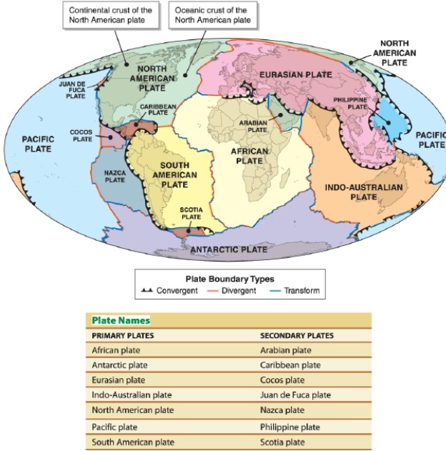   -Referring to the figure, which two plates are converging? A) the Nazca and South American plates B) the African and Indo-Australian plates C) the Antarctic and African plates D) North American and Eurasian plates