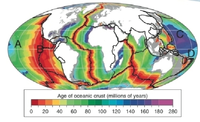   -Referring to the figure, which letter marks the oldest seafloor crust? A) A B) B C) C D) D