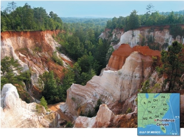 <strong> This photo shows Georgia's Providence Canyon.What human activity resulted in this canyon?</strong> A)burning the forests B)poor agricultural practices C)overgrazing D)These canyons are natural.