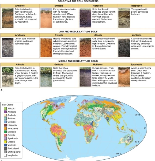   -According to the figure, soils that occur where the ground is permanently frozen are called __________. A) entisols B) gelisols C) oxisols D) spodosols