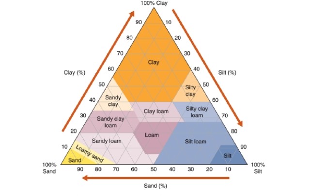   -Reading this chart, what percentage of  loam  is composed of sand? A) 30 to 50% B) 40 to 60% C) 50 to 70% D) 60 to 80%