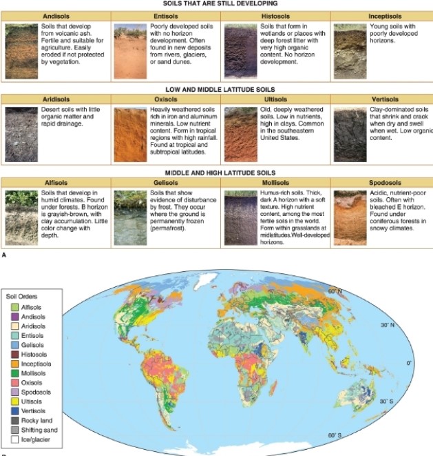   -According to the figure, soils developed from volcanic ash are called __________. A) entisols B) andisols C) mollisols D) alfisols