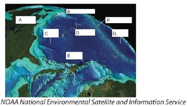   -Which lettered box in the figure points to seamounts? A) C B) D C) F D) G