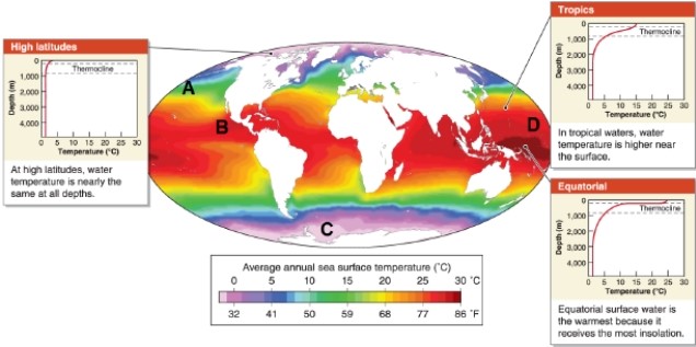   -Which lettered location on the map shows the coldest water? A) A B) B C) C D) D
