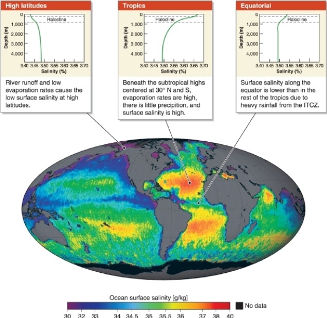   -Referring to the variation in ocean salinity map, which statement describes ocean water salinity at high latitudes? A) The salinity of ocean water is uniform at all depths. B) The salinity of ocean water is low near the surface and increases with depth. C) The salinity of ocean water is slightly higher near the surface than at depth. D) The salinity of ocean water is much higher near the surface than at depth