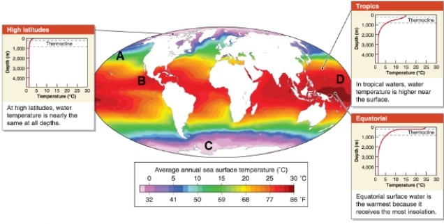   -Referring to the map, which statement describes the temperature profile of ocean water for the tropics? A) Water temperature is cold at all depths. B) Water temperature is warm at all depths. C) Water temperature is higher near the surface than at depth. D) Surface water temperature is the highest of any latitude because it receives the most insolation