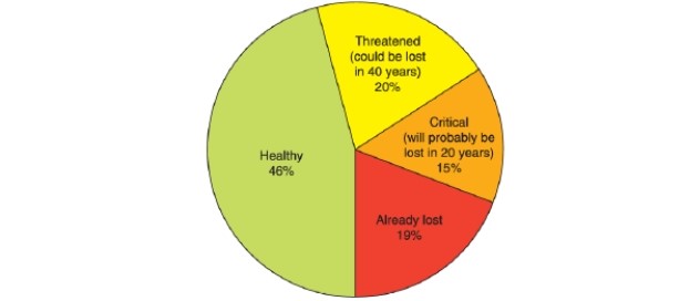   -According to the pie chart, __________ percent of coral reefs today are classified as healthy. A) 15 B) 19 C) 20 D) 46