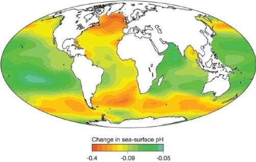   -Which lettered location on the map shows the area of greatest change in seawater pH? A) The North Atlantic Ocean B) The ocean around Antarctica C) The Atlantic Ocean off the coast of Africa D) The equatorial Pacific Ocean