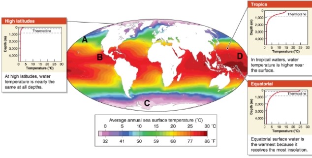   -Referring to the map, which statement describes the temperature profile of ocean water for high latitudes? A) Water temperature is cold at all depths. B) Water temperature is warm at all depths. C) Water temperature is higher near the surface than at depth. D) Surface water temperature is the highest of any latitude because it receives the most insolation.