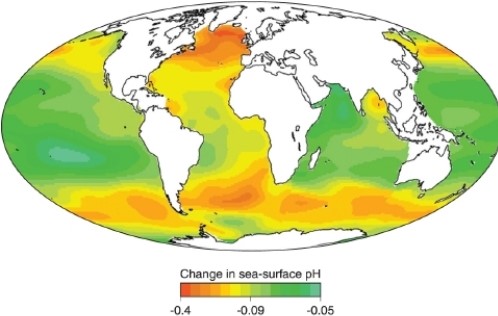   -Which area on the map shows the area of least change in seawater pH? A) The North Atlantic Ocean B) The ocean around Antarctica C) The Atlantic Ocean off the coast of Africa D) The equatorial Pacific Ocean