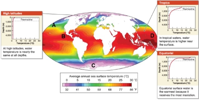   -Which lettered location on the map shows the transition between tropical and polar waters? A) A B) B C) C D) D