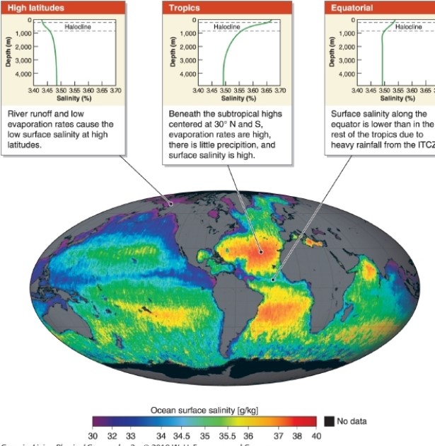   -Referring to the variation in ocean salinity map, which statement describes ocean water salinity in the tropics? A) The salinity of ocean water is uniform across all depths in all regions. B) The salinity of ocean water is low near the surface and increases with depth in all regions. C) At high latitudes the salnity of ocean water is much higher near the surface than at depth. D) In the tropicsthe salinity of ocean water is much higher near the surface than at depth.