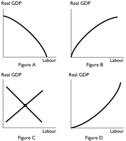   -The figure above that most accurately shows a production function is A)  Figure A. B)  Figure B. C)  Figure C. D)  Figure D. E)  Both Figure A and Figure B; Figure A for an economy with an excess of labour and Figure B for an economy with a shortage of labour.