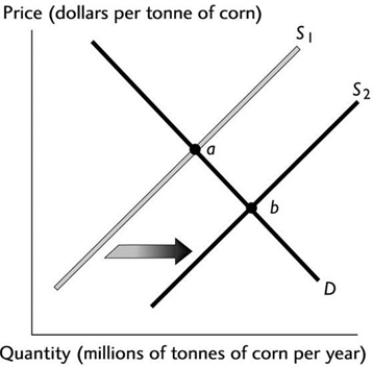   The above figure illustrates the market for corn. If point 'a' represents the original equilibrium and point 'b' the new equilibrium, which of the following could have caused the change? A)  An increase in consumers' preferences for corn. B)  An increase in the labour costs of producing corn. C)  An increase in consumers' income if corn is a normal good. D)  An improvement in the technology of producing corn. E)  An increase in consumers' income if corn is an inferior good.