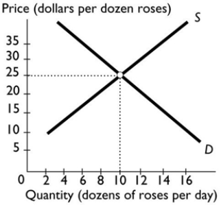   In the figure above, a price of $15 per dozen roses results in A)  equilibrium. B)  an eventual leftward shift of the demand curve and/or rightward shift of the supply curve. C)  a shortage. D)  downward pressure on the price of roses. E)  a surplus.