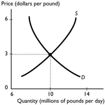   The graph illustrates the market for pounds sterling, the currency of the United Kingdom. As the number of buyers of pounds decreases and the number of sellers of pounds increases, the equilibrium price of a pound A)  will remain the same. B)  will fall. C)  will rise. D)  might rise, fall or remain the same but more information is needed. E)  will rise if the magnitude of the effect on the buyers is larger than the magnitude of the effect on the sellers.
