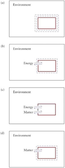 Figure 7.2   -Work depends on displacement vector and force vector, but it is a scalar. Explain.