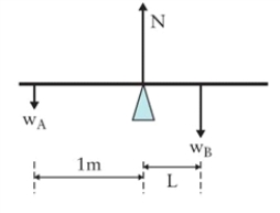 Figure 6.2   Force diagram with masses at each end of a pivoted bar of length (L+1)  m. -A person of mass 70 kg stands 0.5 m from one end of a 2 m long uniform plank (of negligible mass)  that is being held in equilibrium by two vertical ropes attached to the ends of the plank. What is the tension in the rope closer to the person? A) 23 N B) 47 N C) 229 N D) 457 N