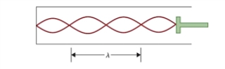 Figure 15.1   The figure shows a standing wave in a closed tube. -The tube in Fig. 15.1 is filled with air. What is the fundamental frequency of the tube if ë in the figure is 65.55 cm? The speed of sound in air is 343 m/s. A) 523.3 Hz B) 261.6 Hz C) 130.8 Hz D) 65.4 Hz