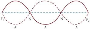 Figure 15.2 The figure shows pressure nodes in a tube that is open on both ends.   -For the wave in Fig. 15.2, what is the fundamental frequency if the distance between two pressure nodes is 30 cm? The speed of sound in air is 343 m/s. A) f = 190.6 Hz B) f = 381.1 Hz C) f = 571.7 Hz D) f = 1143.3 Hz