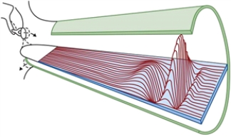 Figure 15.4   The figure shows an overview of a cochlea. -In Fig. 15.4, what is the order of frequencies exciting the membrane from the oval window on the left toward the right in the basilar membrane?