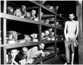 <strong>The image of Holocaust survivors shows emaciated men in the Buchenwald concentration camp in Germany after liberation by American troops of the 80th Army Division. What explains the facial expressions of these men? </strong> A) The joy of liberation and enthusiasm for a new life in the United States B) The fear of the American liberators C) The lack of concern about events around them D) The deep scars their ordeal left on their bodies and souls