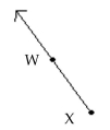  Identify the figure as a line, a ray, a line segment, or an angle. Then name the figure using the given points. -  A) ray;  \overrightarrow { \mathrm { XW } }  B) ray;ray;  \overrightarrow { \mathrm { WX } }  C) line segment;t;  \overline { \mathrm { XW } }  D) line;ine;  \overleftrightarrow { W X }