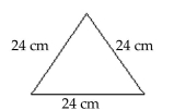 Find the perimeter of the figure. -  A) 71 cm B) 288 cm C) 48 cm D) 72 cm