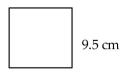 Find the perimeter of the figure. -Square   A) 38 cm B) 180.5 cm C) 19 cm D) 48 cm