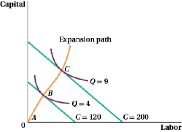 (Figure: Capital and Labor IV)    Graph the firm's total cost curve as it corresponds to points A, B, and C.