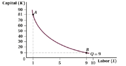 (Figure: Capital and Labor XVI)  Consider the production function Q = L<sup>0.5</sup>K<sup>0.5</sup>, with MP<sub>K</sub> = L<sup>0.5</sup>/K<sup>0.5</sup> and MP<sub>L</sub> = K<sup>0.5</sup>/L<sup>0.5</sup>.   The slope of the isoquant at Point B is ____. A)  -9 B)  9 C)  -1 D)  1