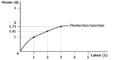 (Figure: Production Function V)  Refer to the production function, which has a slope of 1/L<sup>0.5</sup>.   The marginal product of labor for L = 16, assuming that labor is infinitely divisible, is ____. A)  1 B)  0.75 C)  0.5 D)  0.25