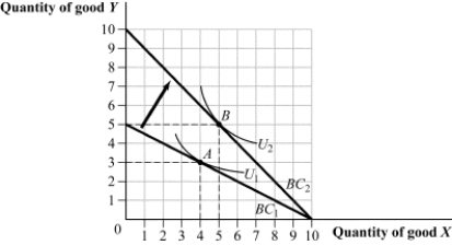 (Figure: Quantity of Good Y and X IV)  The price of good Y decreased from $20 to $10.   Goods X and Y are considered ____. A)  complements B)  substitutes C)  unrelated goods D)  inferior goods