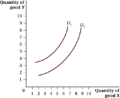 (Figure: Good Y and Good X II)  What type of good is good X, assuming a person increases the level of happiness when consuming more of good Y?   A)  perfect substitute B)  perfect complement C)  bad D)  neutral good