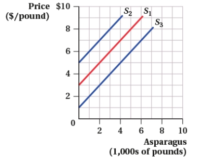 <strong>(Market for Asparagus I) What could cause the supply curve in the market for asparagus to shift from S<sub>1</sub> to S<sub>2</sub>? </strong> A) an increase in the number of asparagus farmers B) poor weather conditions that reduce the asparagus harvest C) better fertilizers that lower the costs of production D) a decrease in the price of asparagus
