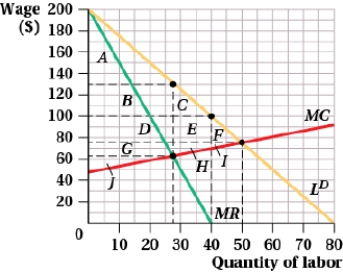 (Figure: Labor Union Wages II)  The figure represents a labor union with wage in dollars and quantity of labor in hundreds of hours. If the labor union chooses to maximize total wages, the deadweight loss will be:   A)  C + E + F + H + I. B)  F + I. C)  C + E + F. D)  B + D + G. 
