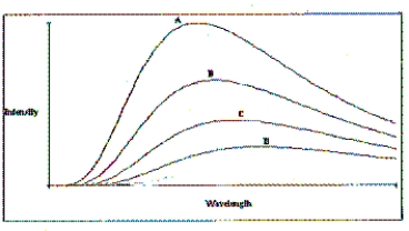   -A plot of the continuous spectra of four different stars is shown in the figure. Based on these spectra, which of the stars has the lowest temperature? A)  Star A B)  Star B C)  Star C D)  Star D