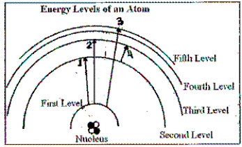 <strong> In the diagram, which of the transitions would absorb a photon with the greatest energy (shortest wavelength)?</strong> A) Transition 1 B) Transition 2 C) Transition 3 D) Transition 4