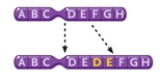 Figurer 10-3   -In Figure 10-3, what type of change in the chromosomes is depicted? A)  a deletion B)  a reciprocal translocation C)  an inversion D)  a duplication 