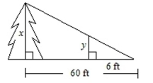 Find the height of the tree, x, if the measure of y is 10 feet.  