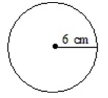 Find the circumference of the circle.     A) 18.84 cm B) 56.52 cm C) 113.04 cm D) 37.68 cm