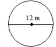 Find the area of the circle. Use    