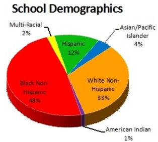 <strong>The demographics of an elementary school are shown below. The school has 291 students. Estimate the number of students who are White Non-Hispanic. </strong> A)9,603 B)33 C)10 D)96