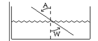 Solve the problem. -The index of refraction for air, Ia, is 1.0003. The index of refraction for water,   = 31.5°, find W to the nearest tenth.   A)  20.7° B)  22.7° C)  21.7° D)  23.7°
