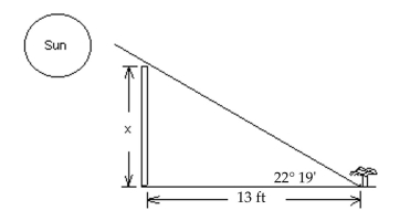 Solve the problem. -In one area, the lowest angle of elevation of the sun in winter is 22° 19'. A fence is to be built 13 ft away from a plant in the direction of the sun. (See drawing)  Find the maximum height, x , for the fence so that the plant will Get full sun. Round your answer to the tenths place when necessary.   A)  5.3 ft B)  6.8 ft C)  4.6 ft D)  5.6 ft